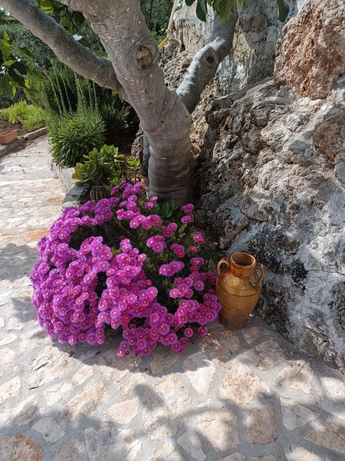La Casa Di Nonno Villa Fasano Exterior photo